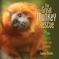 Produktbild: The Great Monkey Rescue