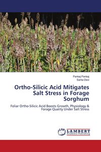 Produktbild: Ortho-Silicic Acid Mitigates Salt Stress in Forage Sorghum