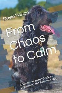 Produktbild: From Chaos to Calm