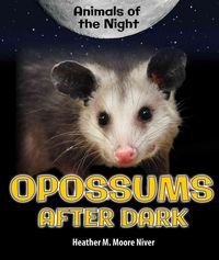 Produktbild: Opossums After Dark