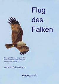 Bild vom Artikel Flug des Falken vom Autor 