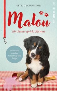 Produktbild: Malou - ein Berner spricht Klartext