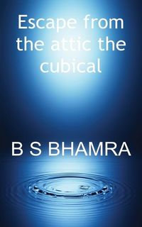 Produktbild: Escape from the attic the cubical