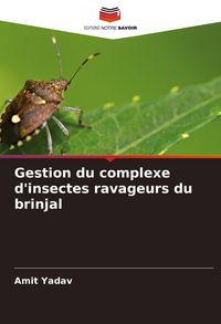 Produktbild: Gestion du complexe d'insectes ravageurs du brinjal