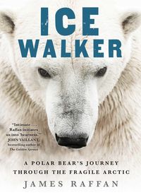Produktbild: Ice Walker