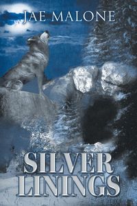 Produktbild: Silver Linings