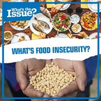 Produktbild: What's Food Insecurity?