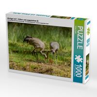 Produktbild: CALVENDO Puzzle Altv&ouml;gel mit 1. K&uuml;ken und angepicktem Ei 1000 Teile Puzzle quer | 1000 Teile Lege-Gr&ouml;&szlig;e 64 &times; 48 cm Foto-Puzzle f&uuml;r gl&uuml;ckliche Stunden