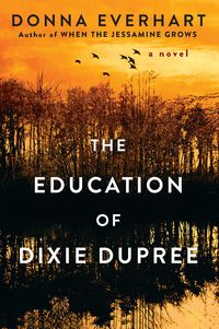 Produktbild: The Education of Dixie Dupree