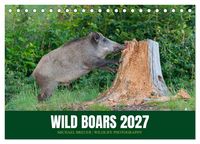 Produktbild: Wild Boars (Desk Calendar 2027 DIN A5 landscape), CALVENDO 12 Month DeskCalendar