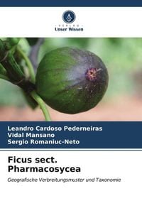 Produktbild: Ficus sect. Pharmacosycea