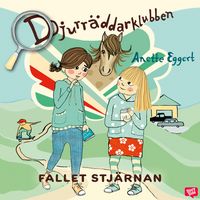 Produktbild: Fallet Stj&auml;rnan