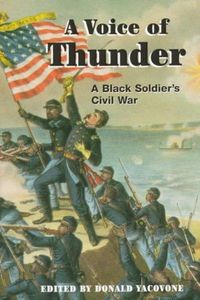Produktbild: Stephens, G: A Voice of Thunder