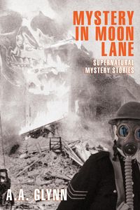Produktbild: Mystery in Moon Lane