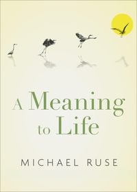 Produktbild: A Meaning to Life