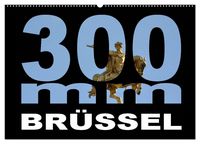 Produktbild: 300mm - Br&uuml;ssel (Wandkalender 2027 DIN A2 quer), CALVENDO Monatskalender