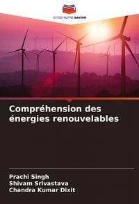 Produktbild: Compr&eacute;hension des &eacute;nergies renouvelables