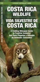 Produktbild: Costa Rica Wildlife/Vida Silvestre de Costa Rica, 2nd Ed
