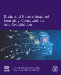 Produktbild: Brain and Nature-Inspired Learning, Computation and Recognition