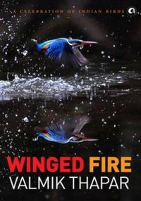Produktbild: Winged Fire