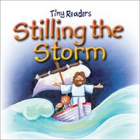 Produktbild: Stilling The Storm