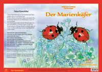 Produktbild: Natur-Kamishibai / Natur-Kamishibai - Der Marienk&auml;fere