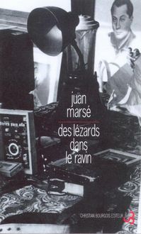 Produktbild: Lezards dans le ravin des