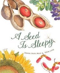Produktbild: Seed Is Sleepy