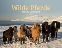 Bild vom Artikel Wilde Pferde Kalender 2024 vom Autor Ackermann Kunstverlag