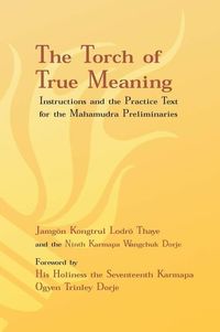 Produktbild: Torch of True Meaning