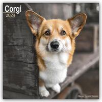Bild vom Artikel Welsh Corgi 2024 - 16-Monatskalender vom Autor Avonside Publishing Ltd