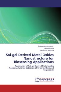 Produktbild: Sol-gel Derived Metal Oxides Nanostructure for Biosensing Applications