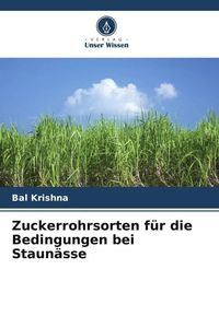 Produktbild: Zuckerrohrsorten f&uuml;r die Bedingungen bei Staun&auml;sse