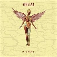 Produktbild: In Utero (Ltd. Super Deluxe,8LP)