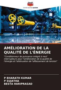 Produktbild: Am&eacute;lioration De La Qualit&eacute; De L'&eacute;nergie