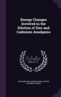 Produktbild: Energy Changes Involved in the Dilution of Zinc and Cadmium Amalgams