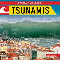 Produktbild: Tsunamis