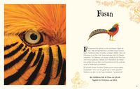 Wundervolle Welt der Tiere