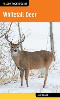 Produktbild: Whitetail Deer