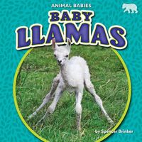 Produktbild: Baby Llamas