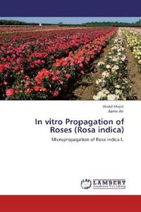 Produktbild: Majid, A: In vitro Propagation of Roses (Rosa indica)