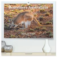 Produktbild: Beuteltiere Australiens (hochwertiger Premium Wandkalender 2027 DIN A2 quer), Kunstdruck in Hochglanz