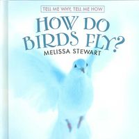 Produktbild: How Do Birds Fly?