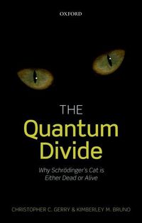 Produktbild: Gerry, C: Quantum Divide