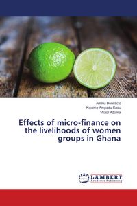 Produktbild: Effects of micro-finance on the livelihoods of women groups in Ghana