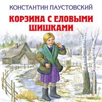 Produktbild: Korzina s elovymi shishkami