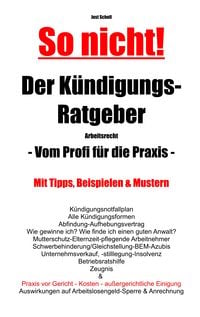 Produktbild: So nicht! Der K&uuml;ndigungs-Ratgeber Arbeitsrecht