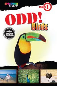 Produktbild: Odd! Birds