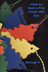 Produktbild: How to Start a Fire Under the Sea