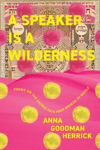 Produktbild: A Speaker is a Wilderness